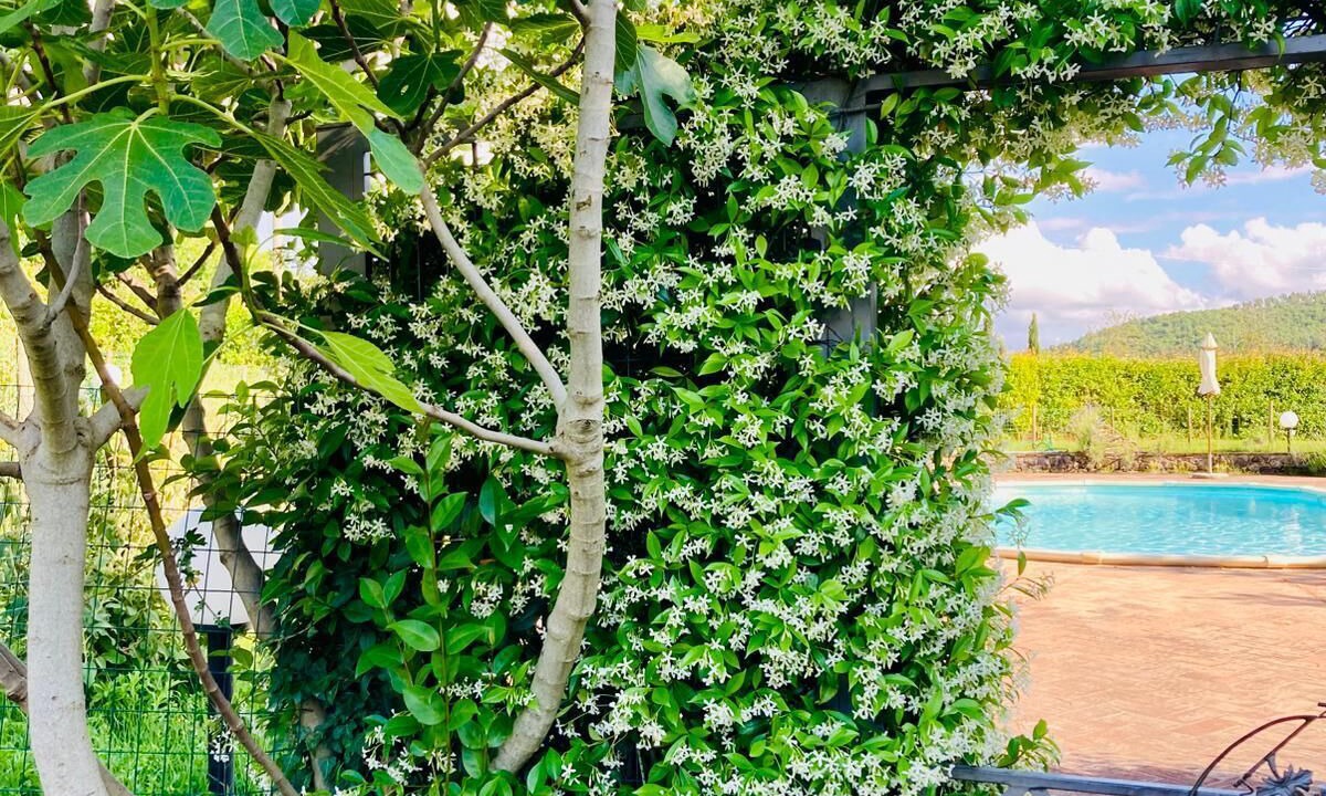 Photo of Outdoor in Crocina