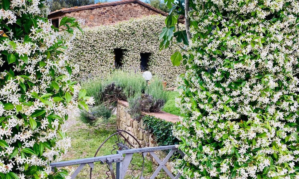Photo of Outdoor in Crocina