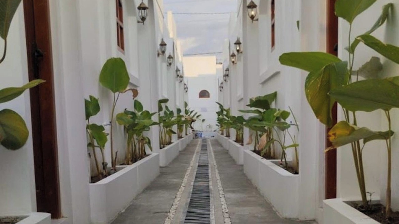 Photo of Outdoor in Sinduharjo