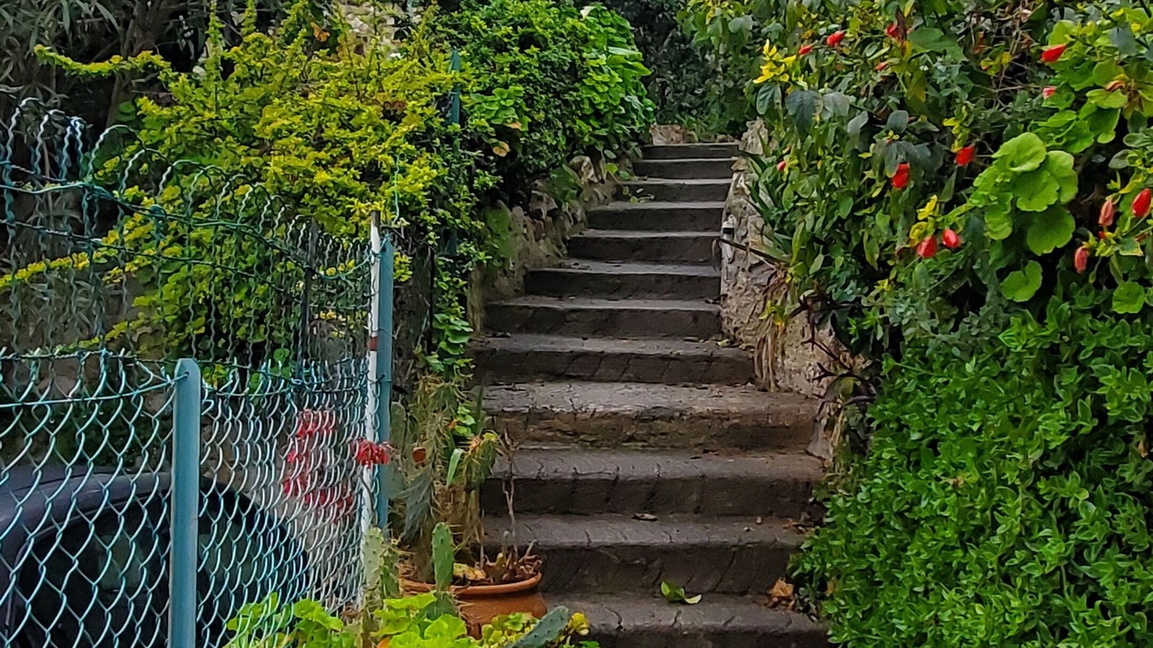 Photo of Outdoor in Beaulieu-sur-Mer