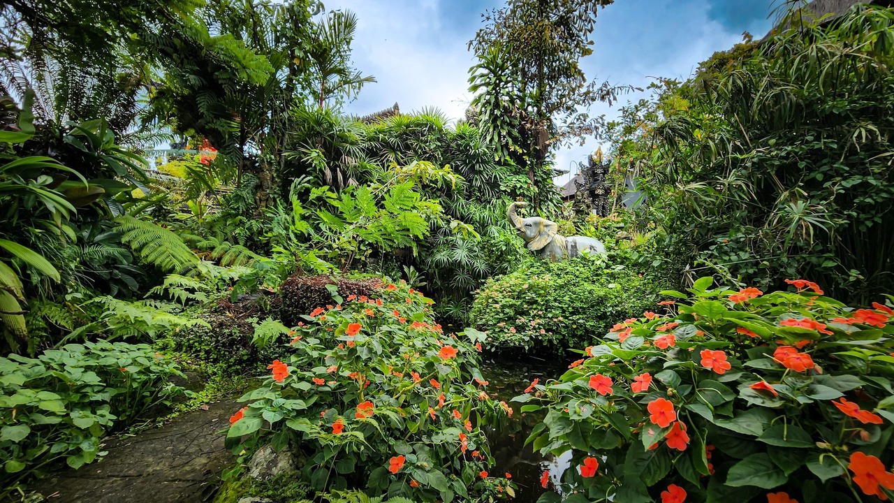Photo of Outdoor in Undisan