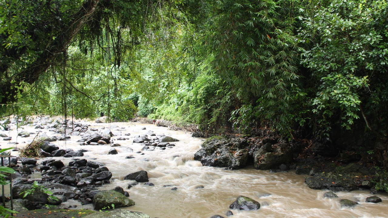 Photo of Outdoor in Tabanan