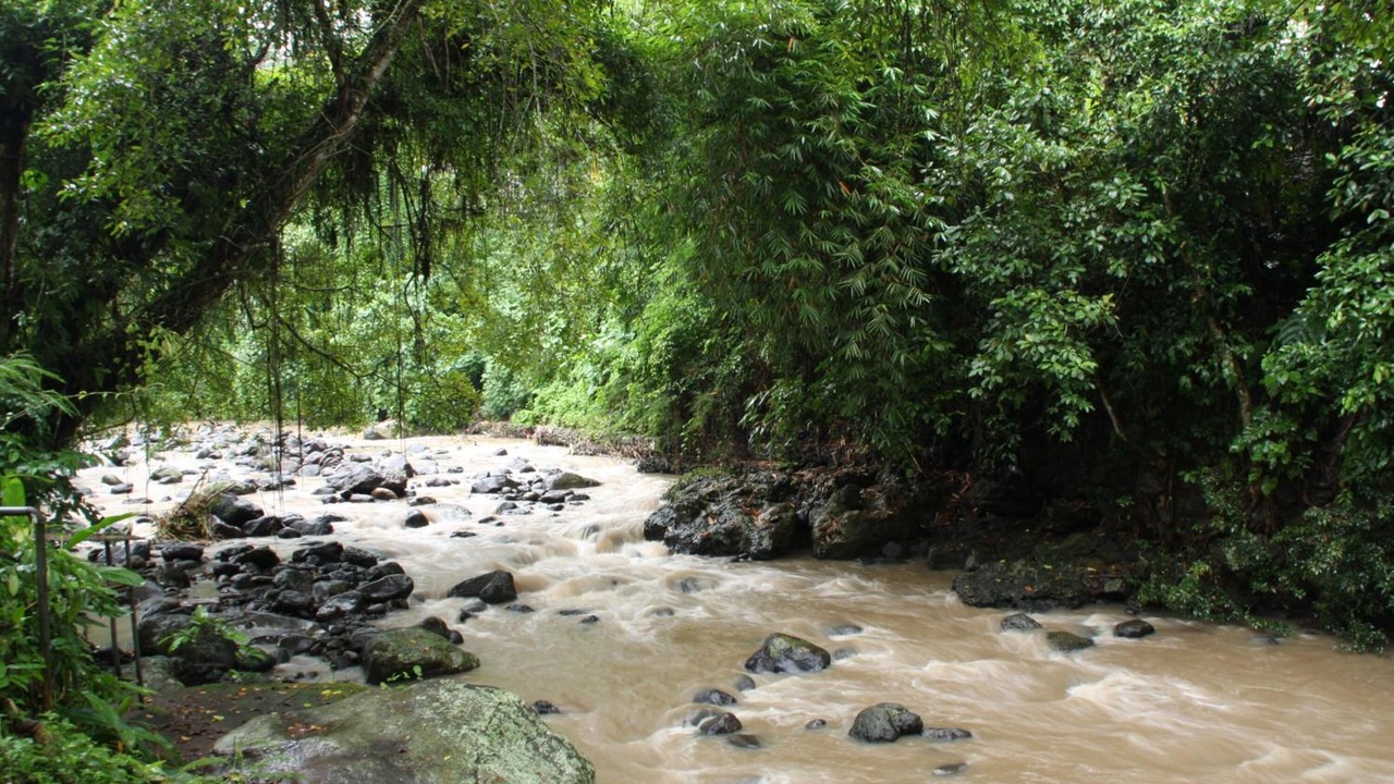 Photo of Outdoor in Tabanan