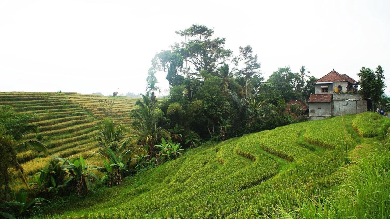 Photo of Outdoor in Tabanan