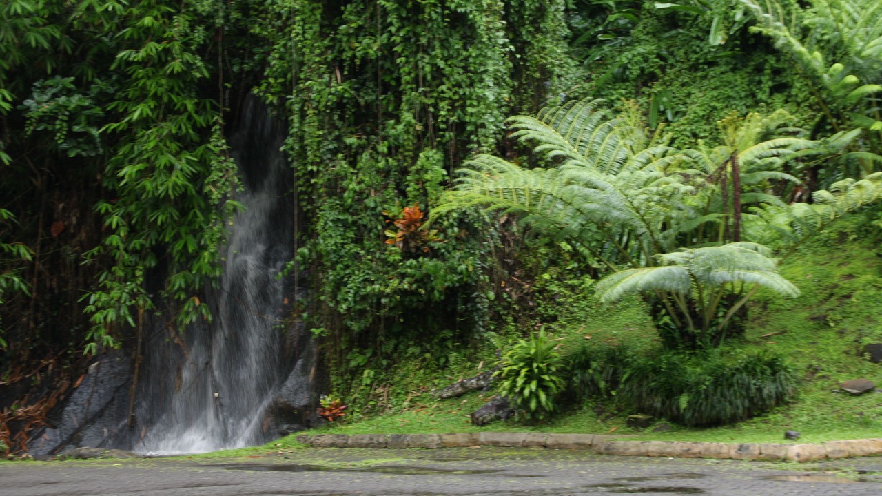 Photo of Others in Tabanan