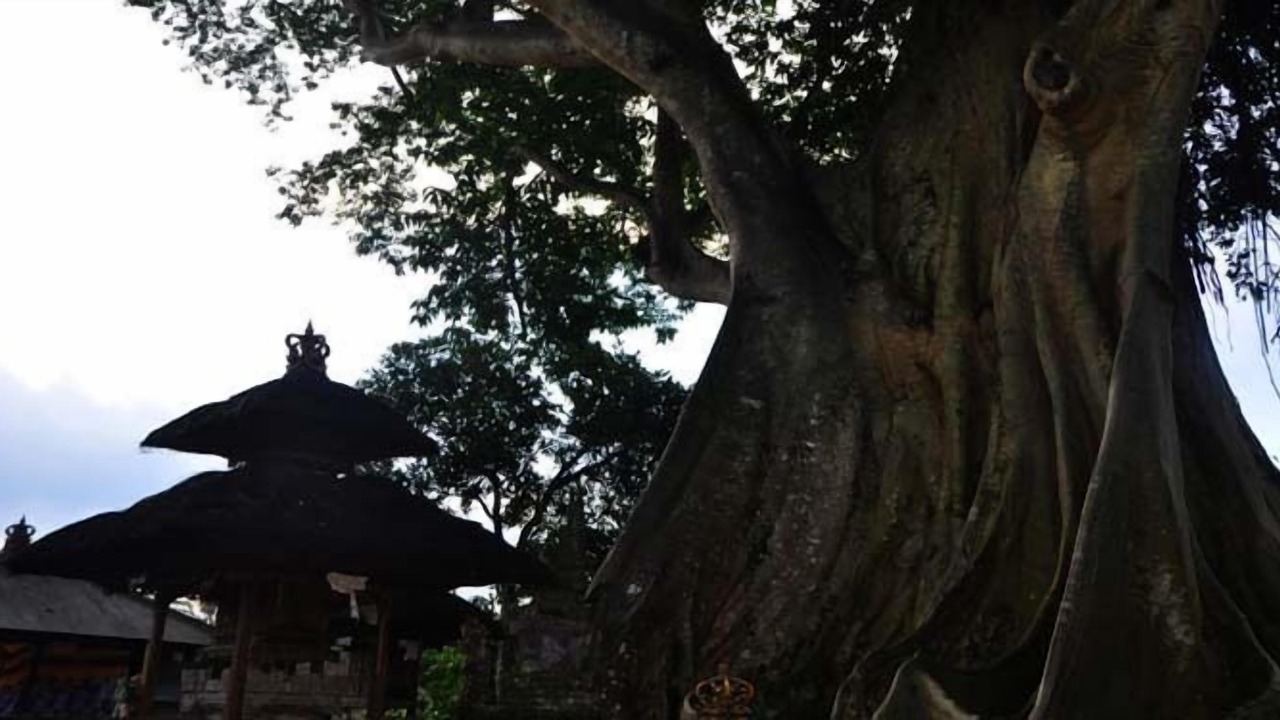 Photo of Outdoor in Tua