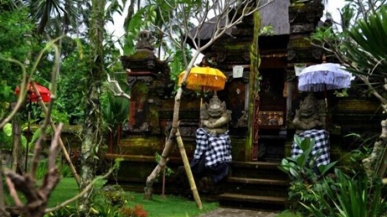 Photo of Outdoor in Tua