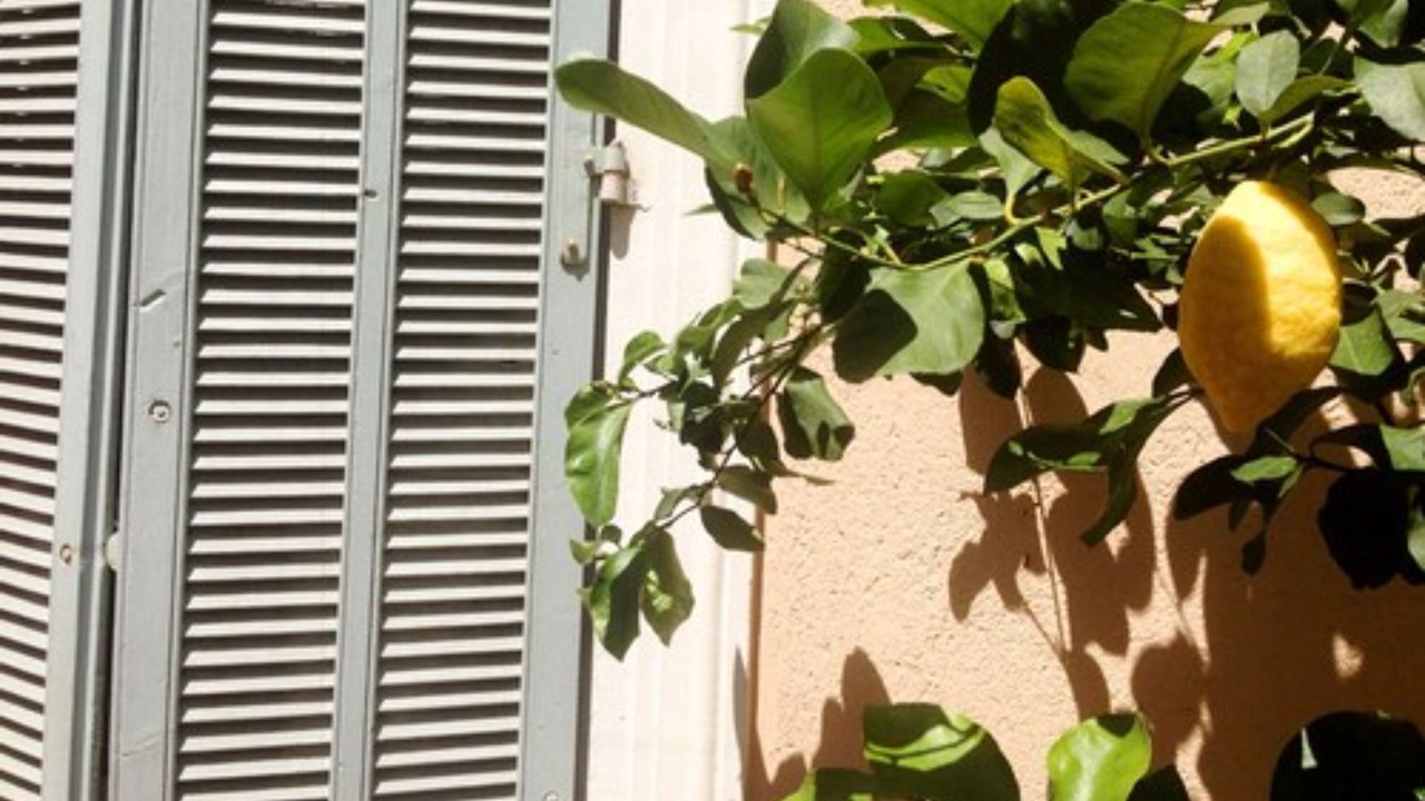 Photo of Outdoor in Le Suquet