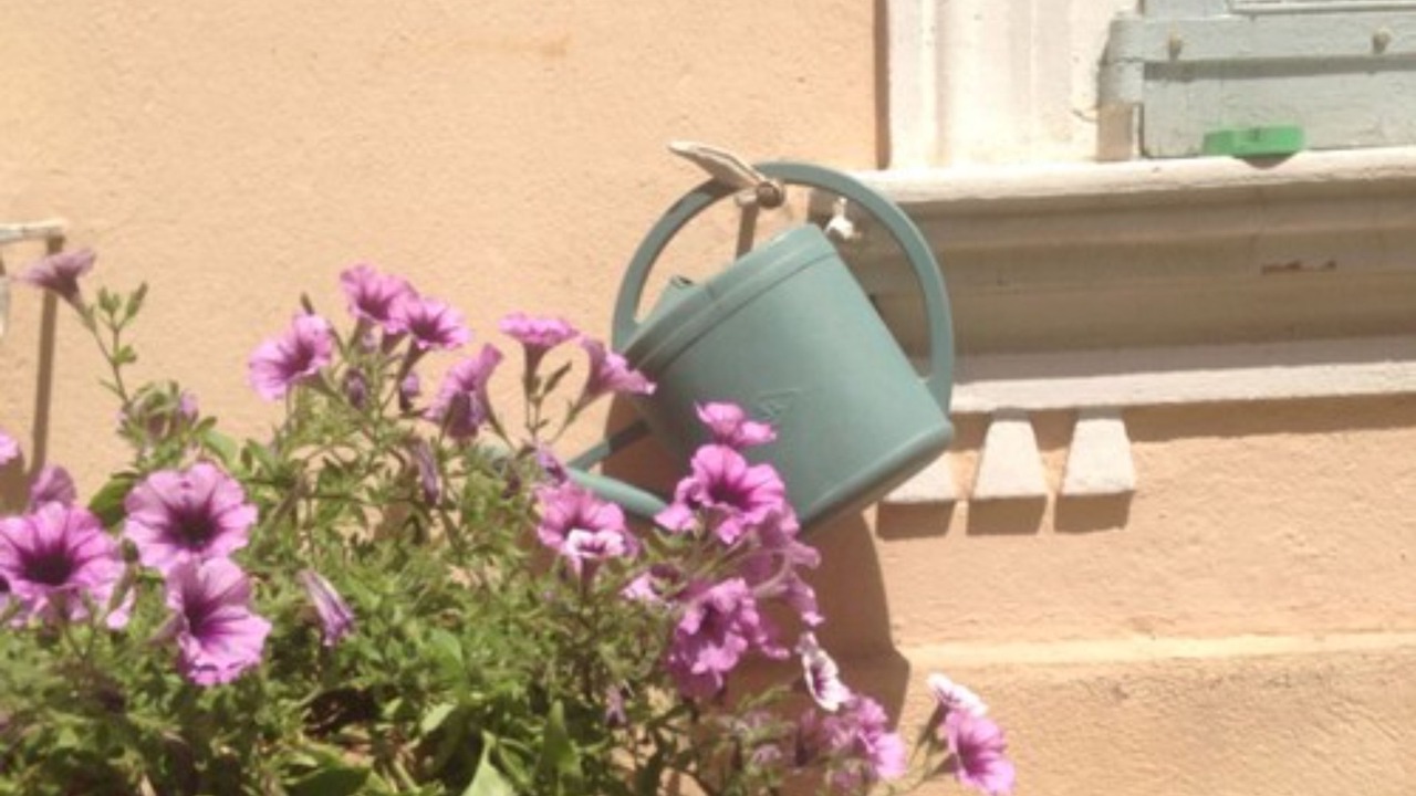 Photo of Outdoor in Le Suquet