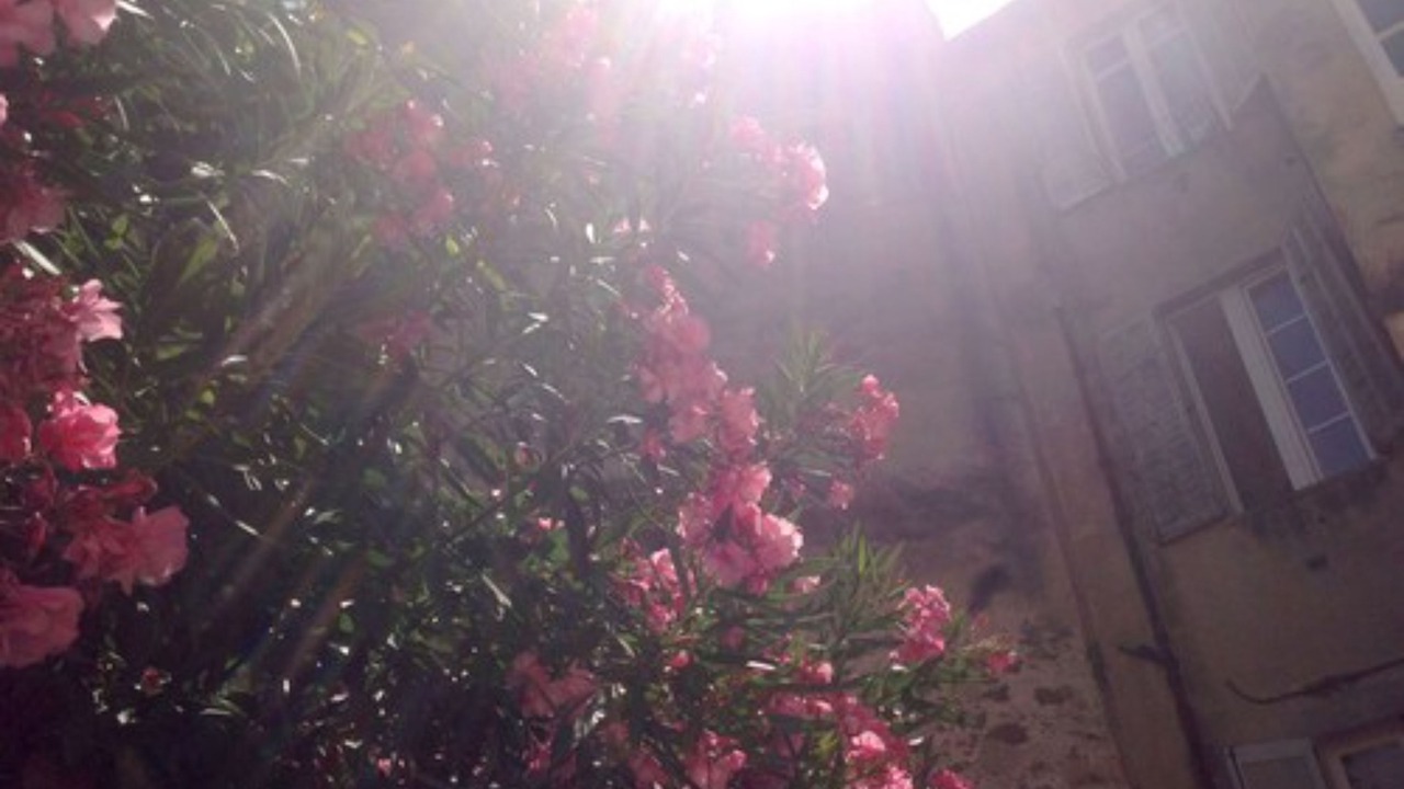 Photo of Outdoor in Le Suquet