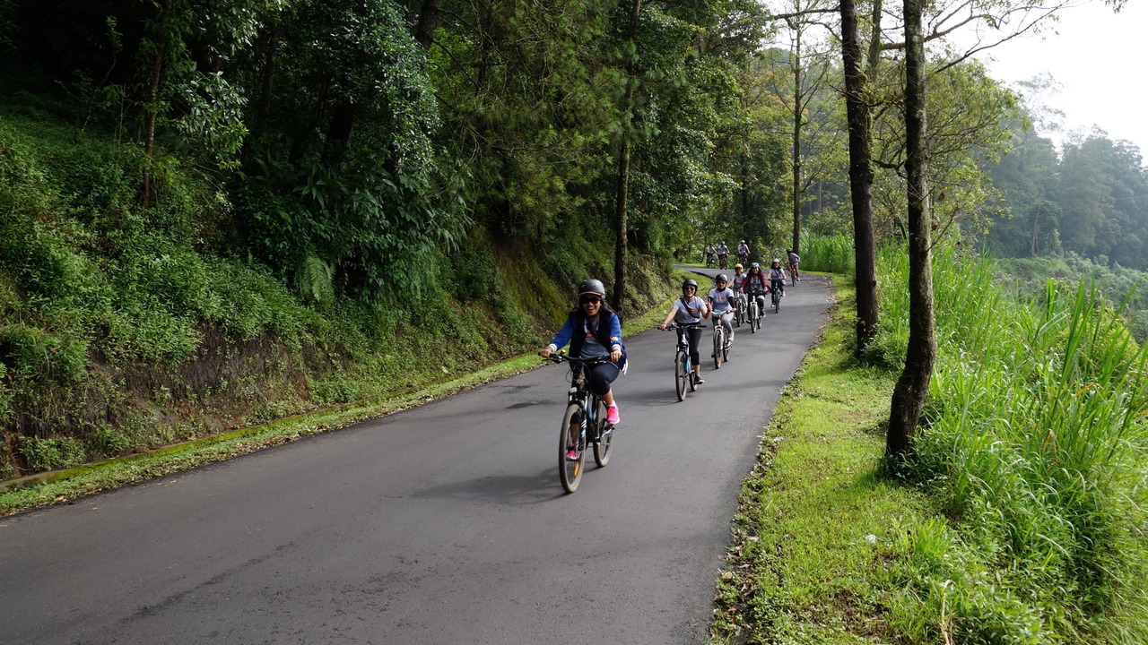 Photo of Outdoor in Pelaga