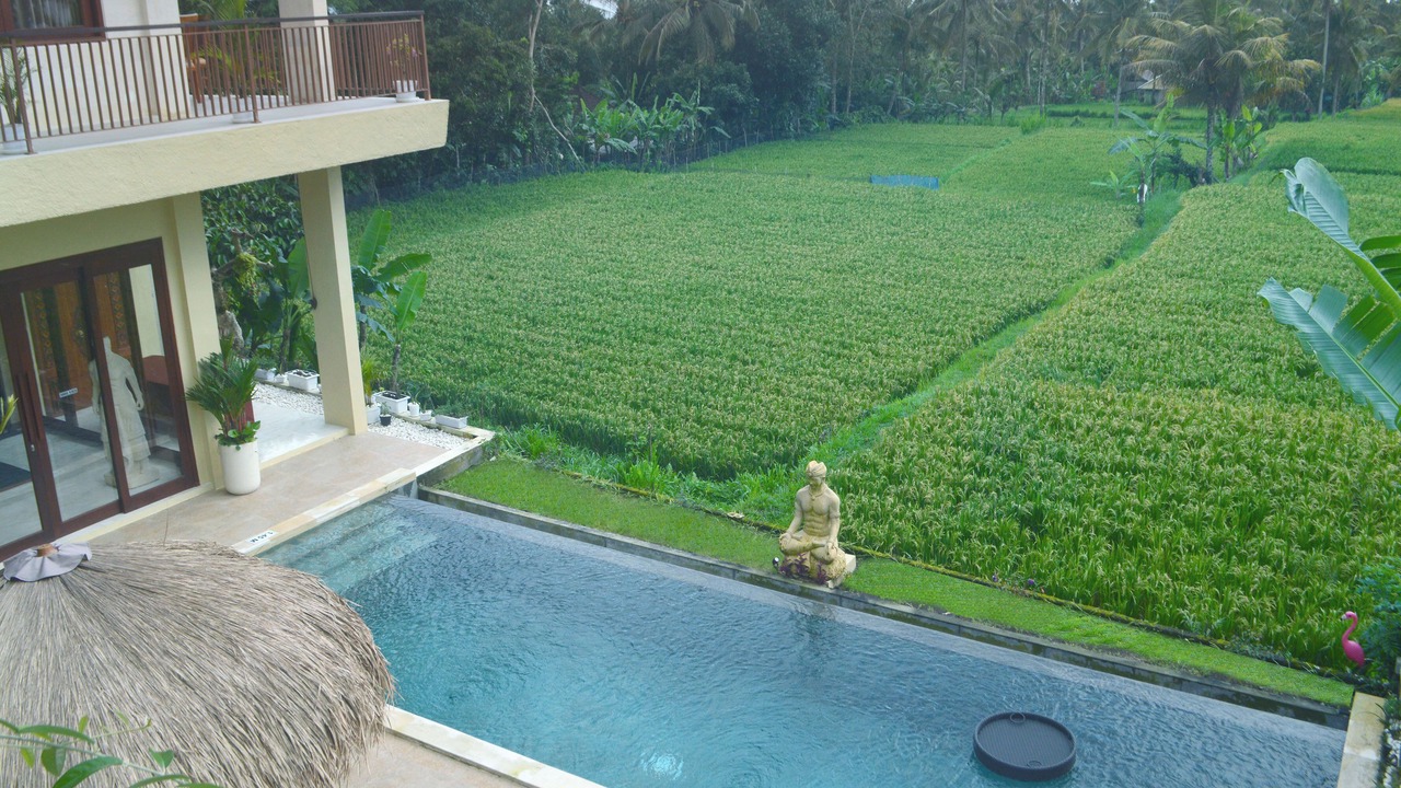 Photo of Outdoor in Payangan