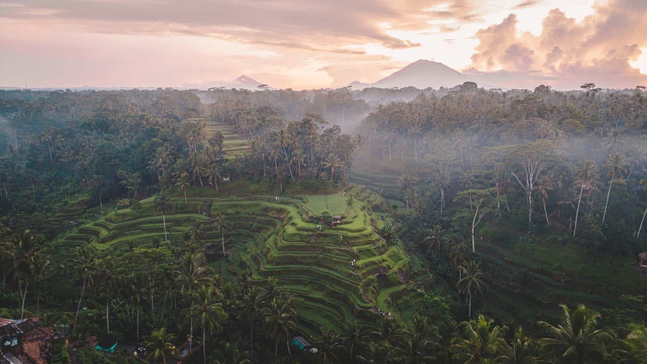 Photo of Others in Payangan