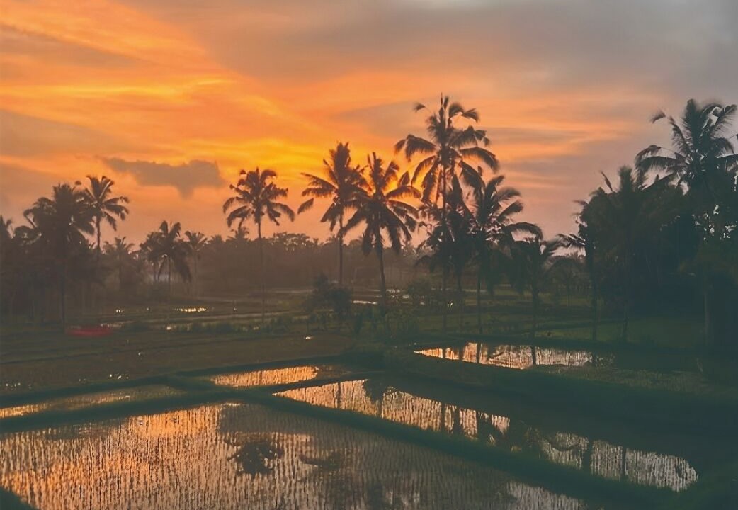 Photo of Outdoor in Payangan