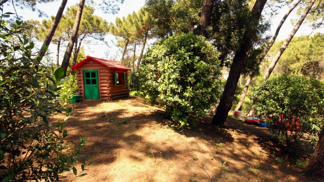 Photo of Outdoor in Marina di Castagneto Carducci