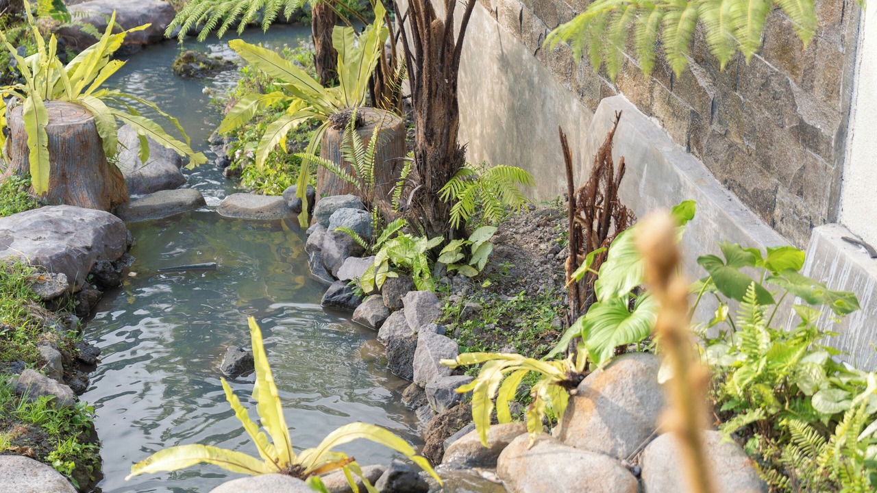 Photo of Outdoor in Sebatu