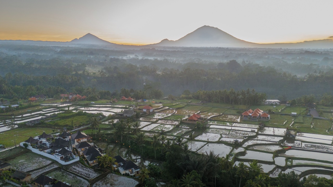Photo of Outdoor in Sebatu