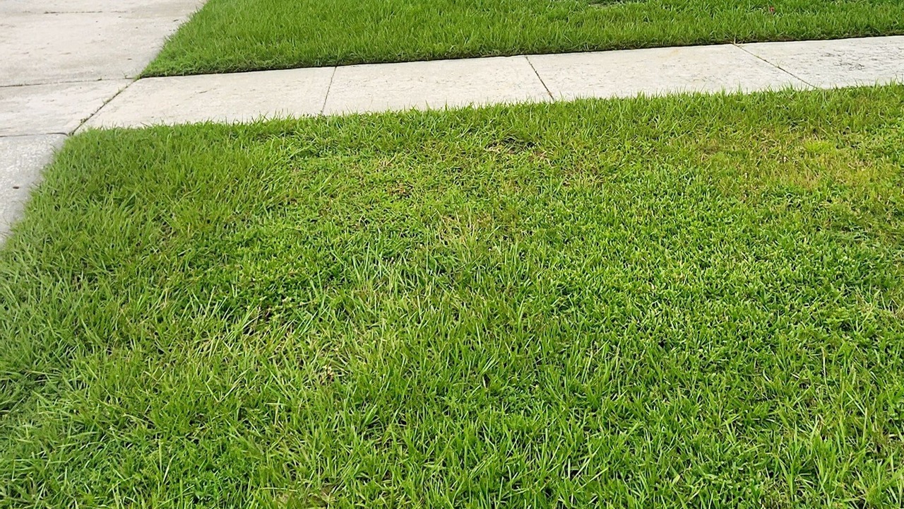 Photo of Outdoor in Northwest Orlando
