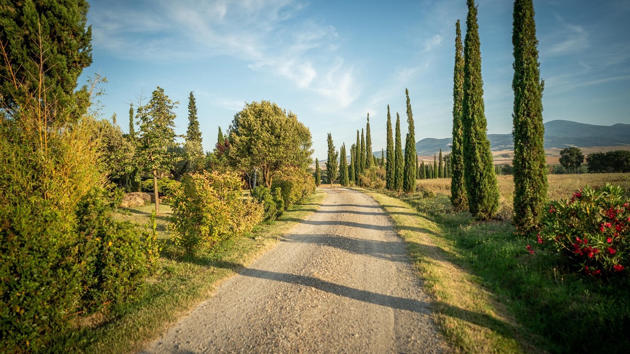 Photo of Outdoor in Gallina
