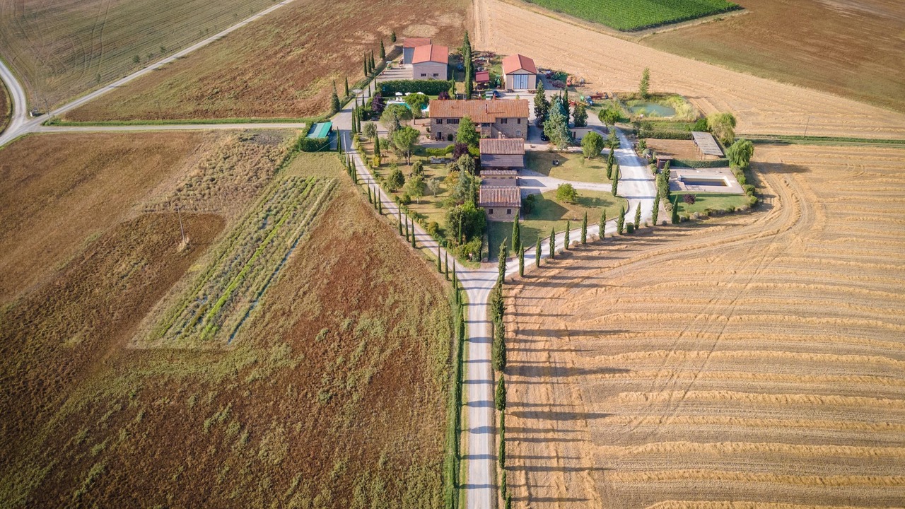 Photo of Others in Gallina