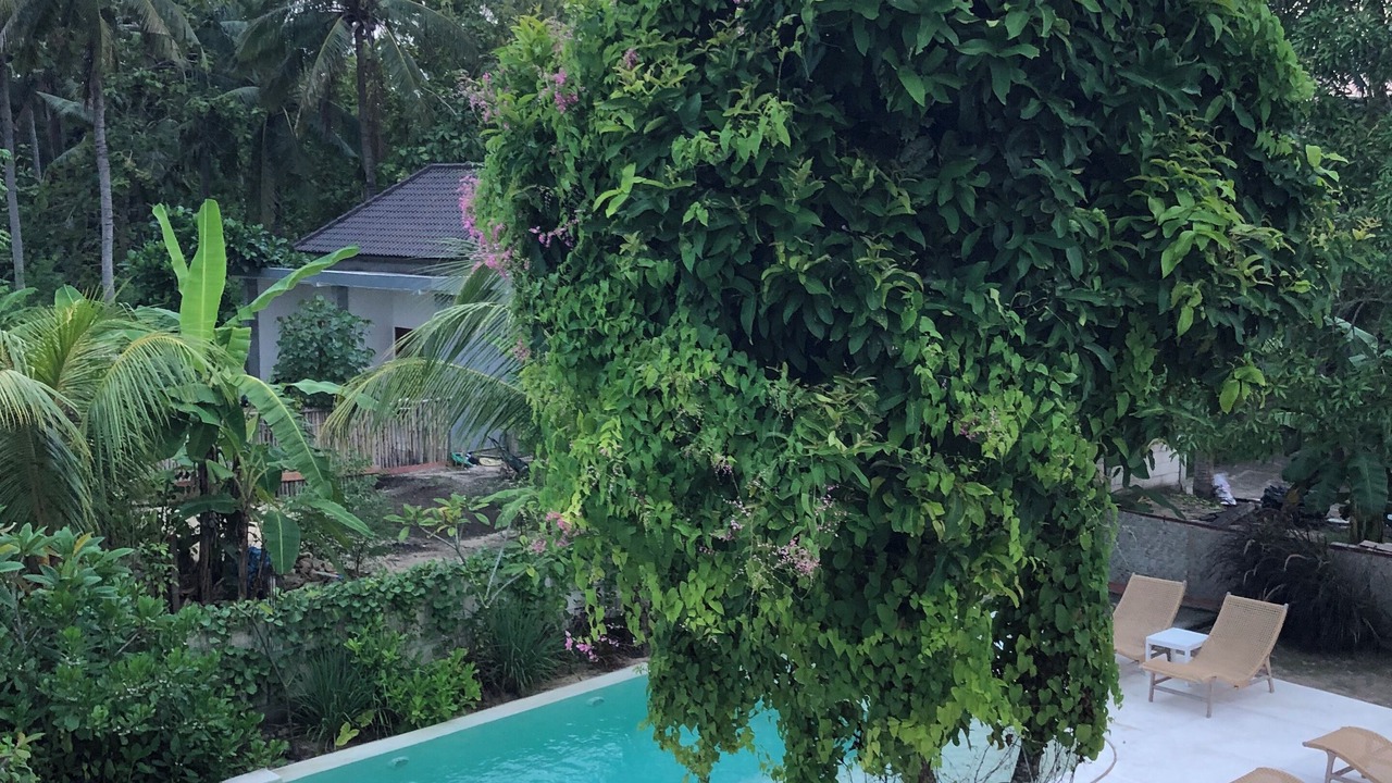 Photo of Outdoor in Jungut Batu