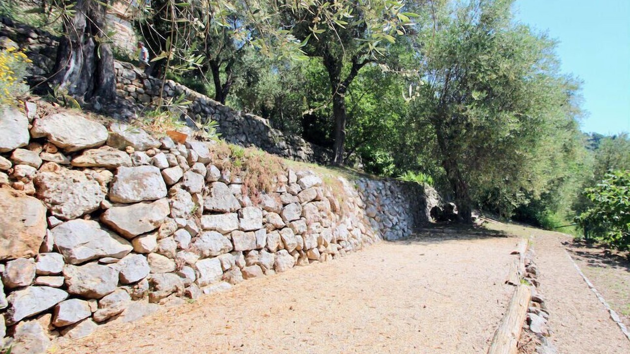 Photo of Outdoor in Speracedes