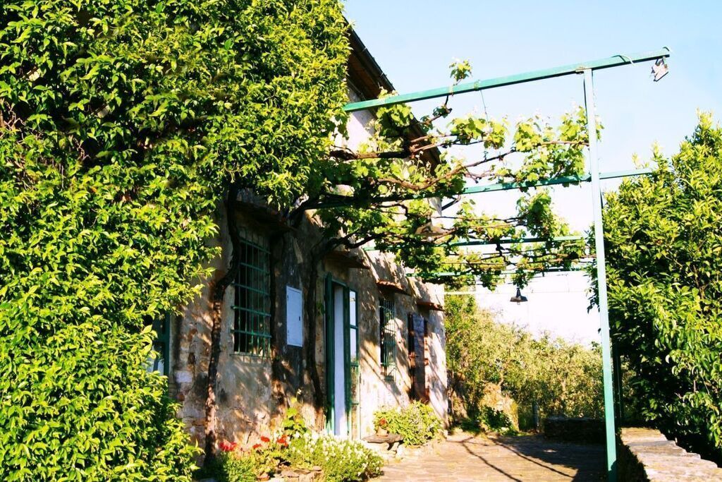 Photo of Outdoor in Buti