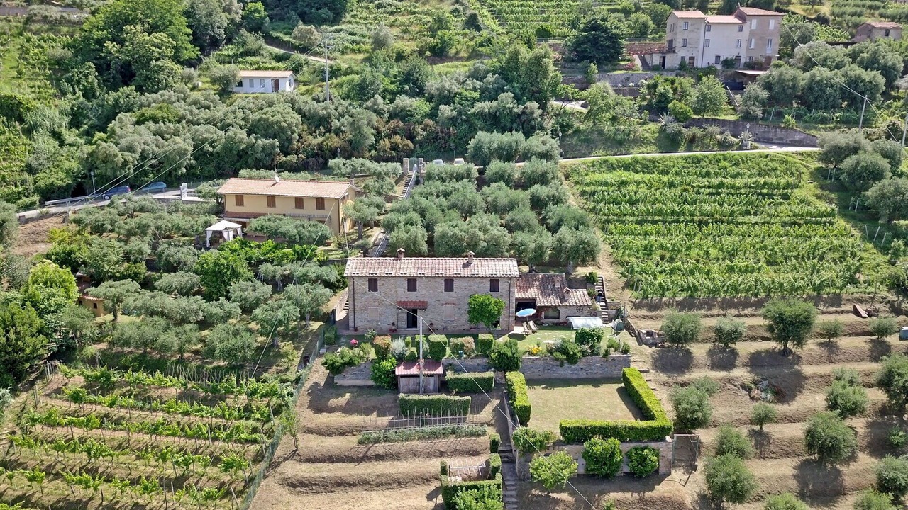 Photo of Outdoor in Seravezza