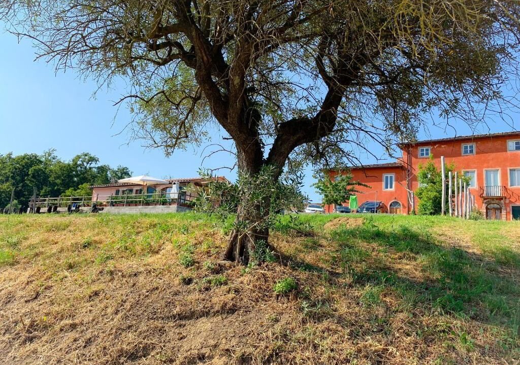 Photo of Outdoor in Vicopelago