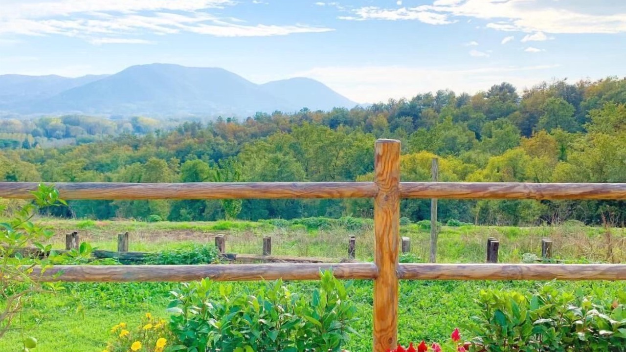Photo of Outdoor in Vicopelago