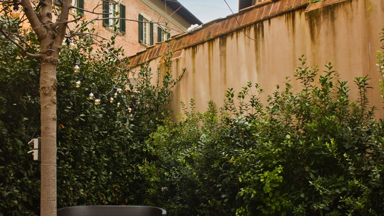 Photo of Others in Pisa City Centre