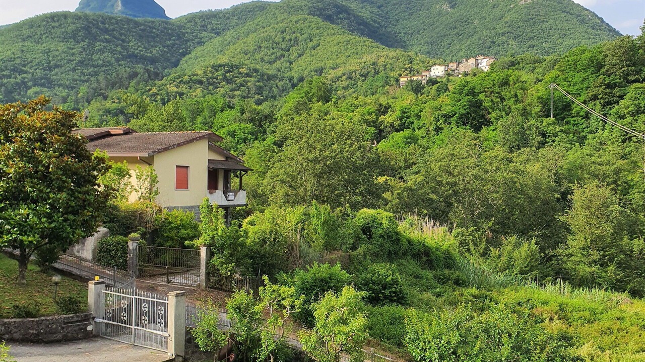 Photo of Others in Maglietola