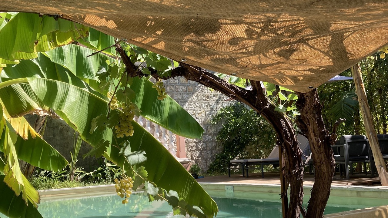 Photo of Outdoor in Mantega