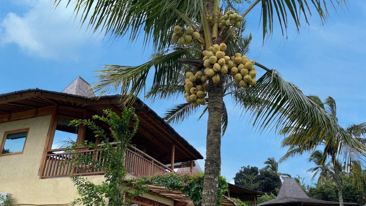 Photo of Outdoor in Selemadeg