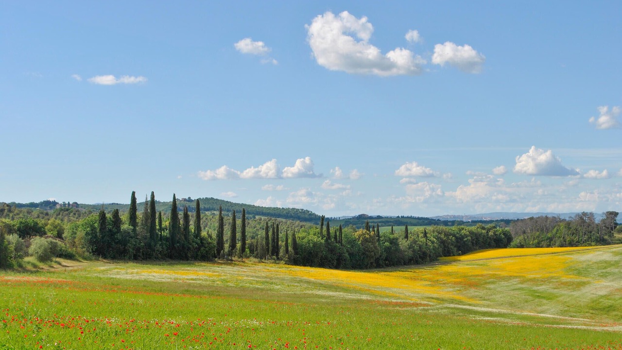 Photo of Others in Serre di Rapolano