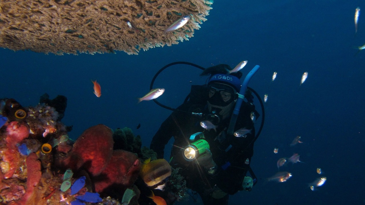 Photo of Others in Kubu
