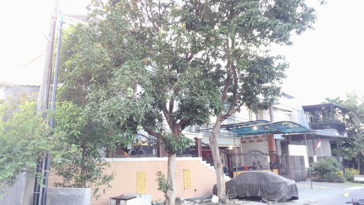Photo of Outdoor in Waru