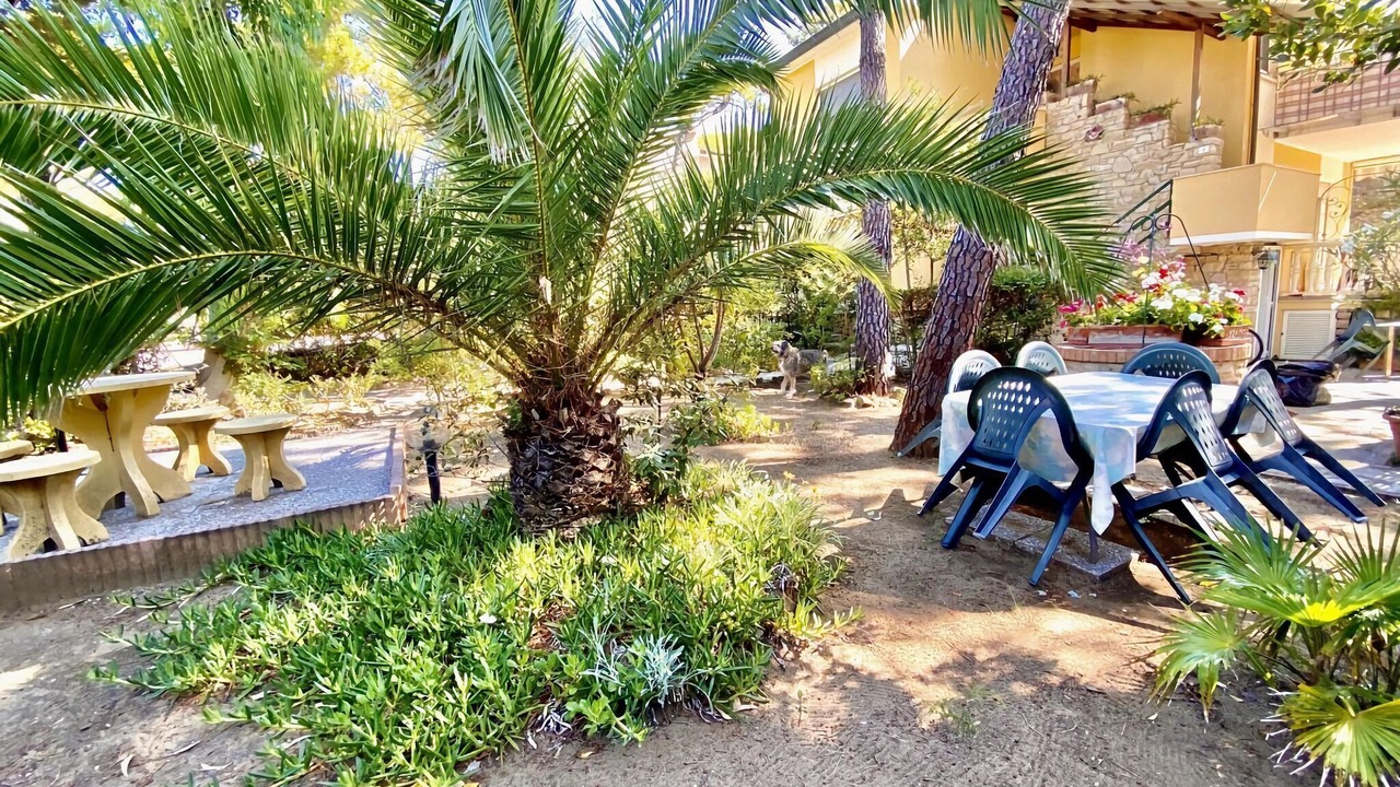 Photo of Outdoor in Marina di Castagneto Carducci