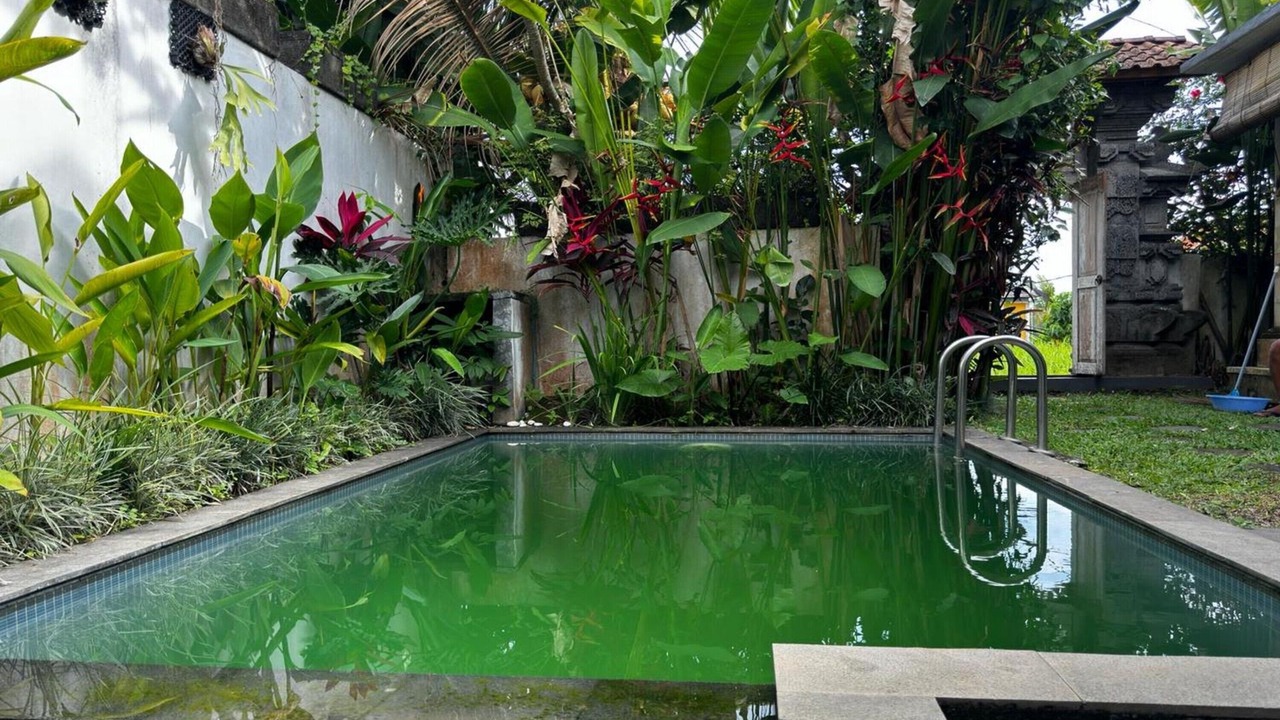 Photo of Outdoor in Kutuh Kaja