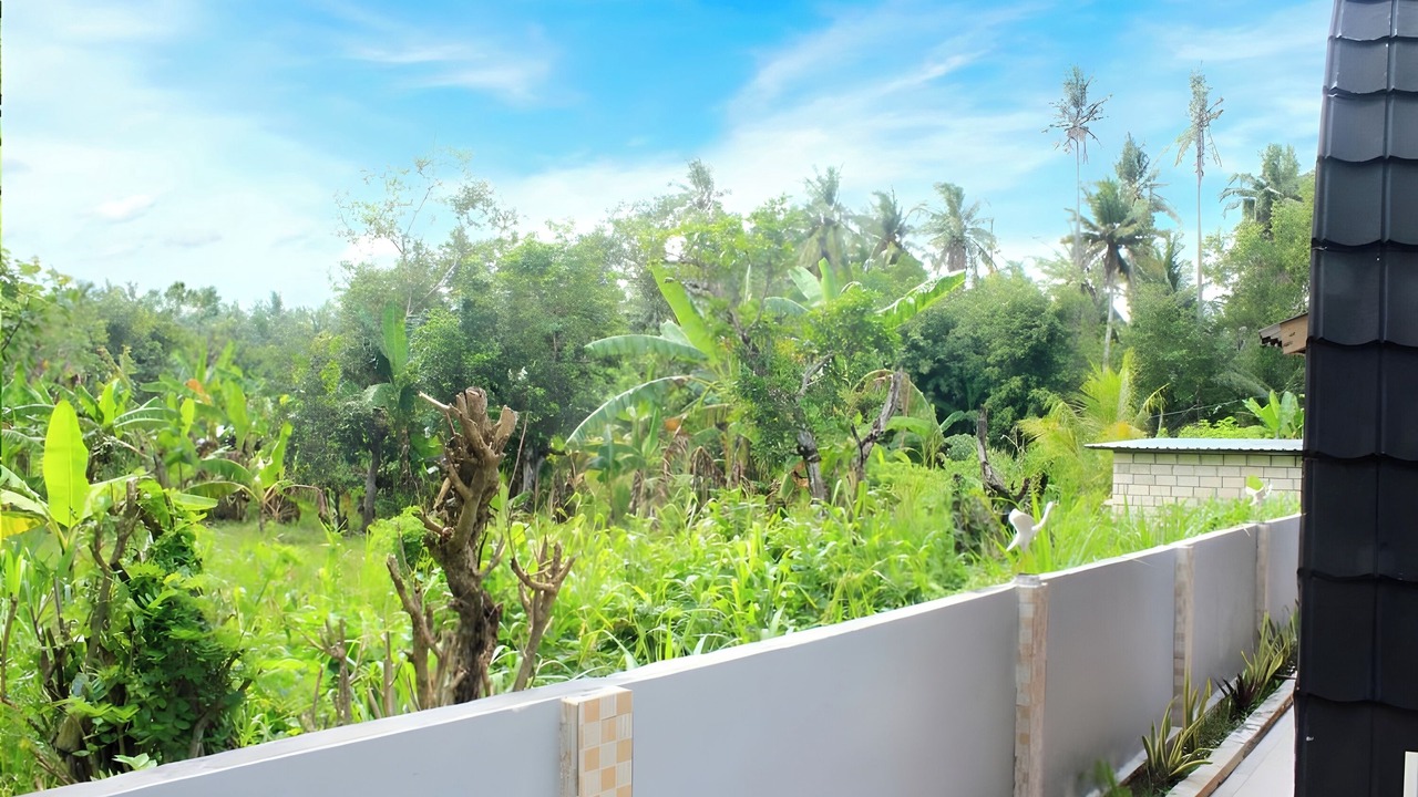 Photo of Outdoor in Penida Island