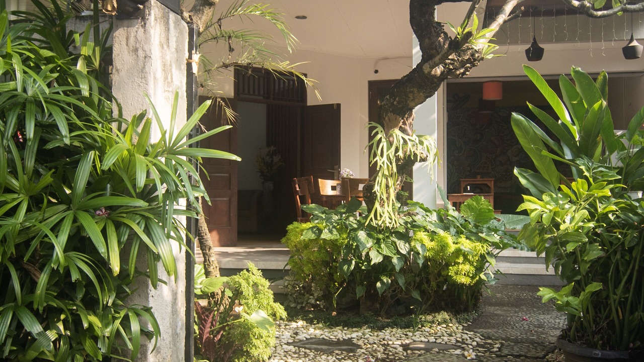 Photo of Outdoor in Denpasar Timur