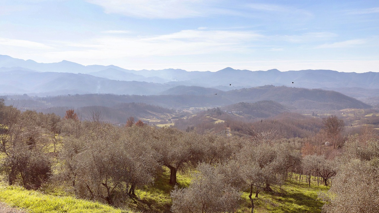 Photo of Outdoor in Agnino