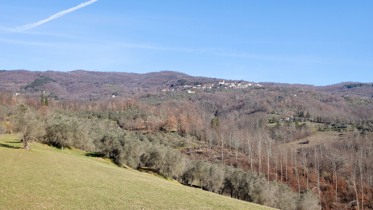 Photo of Outdoor in Agnino