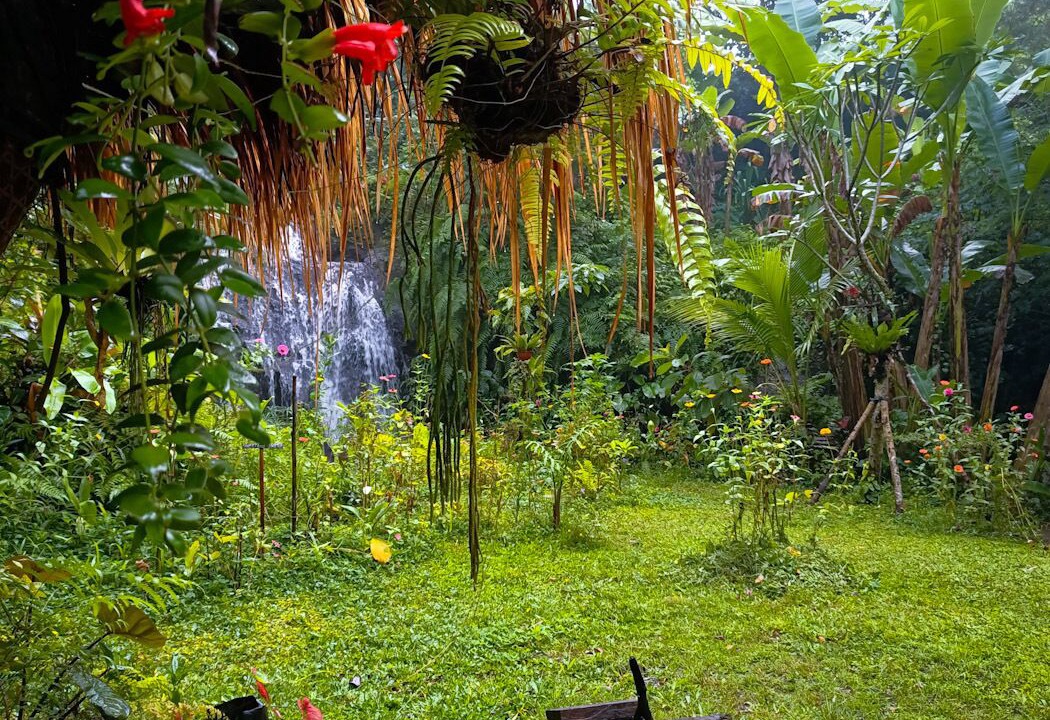 Photo of Outdoor in Payangan