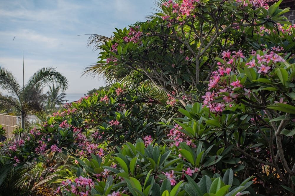 Photo of Outdoor in Suraberata