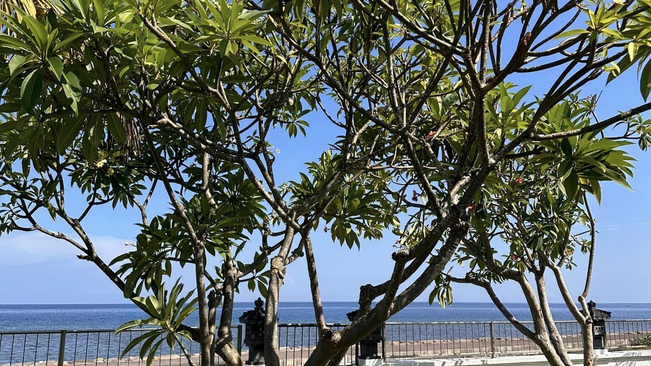 Photo of Outdoor in Tegallengah