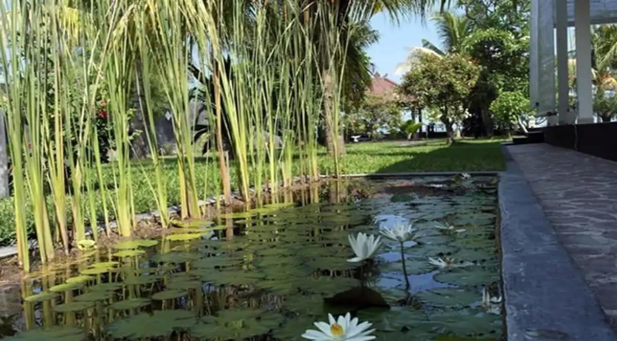Photo of Outdoor in Tegallengah