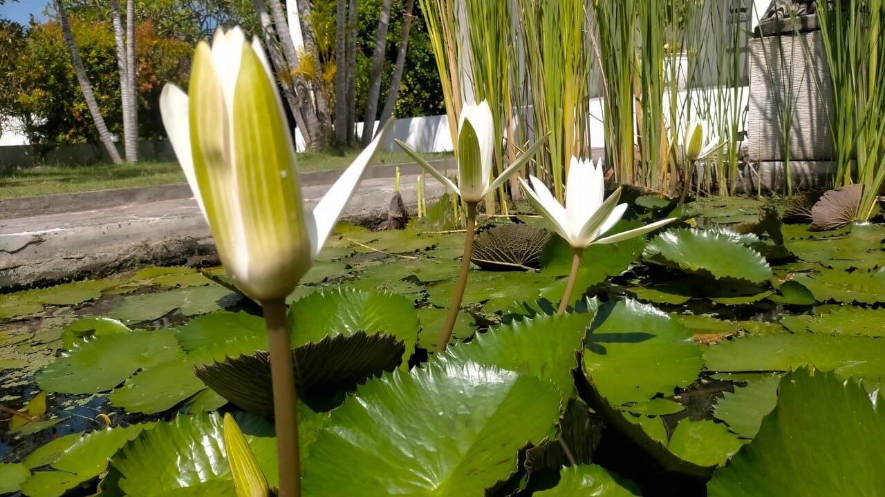 Photo of Outdoor in Tegallengah