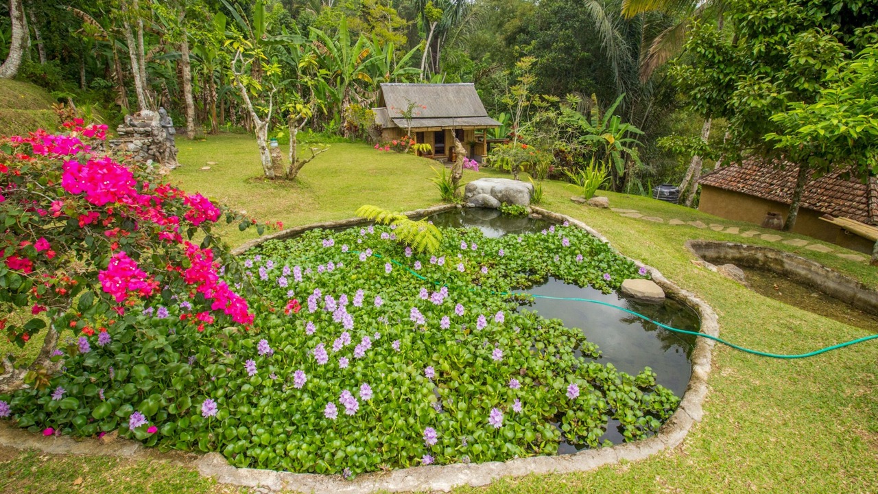 Photo of Outdoor in Wongaya Gede