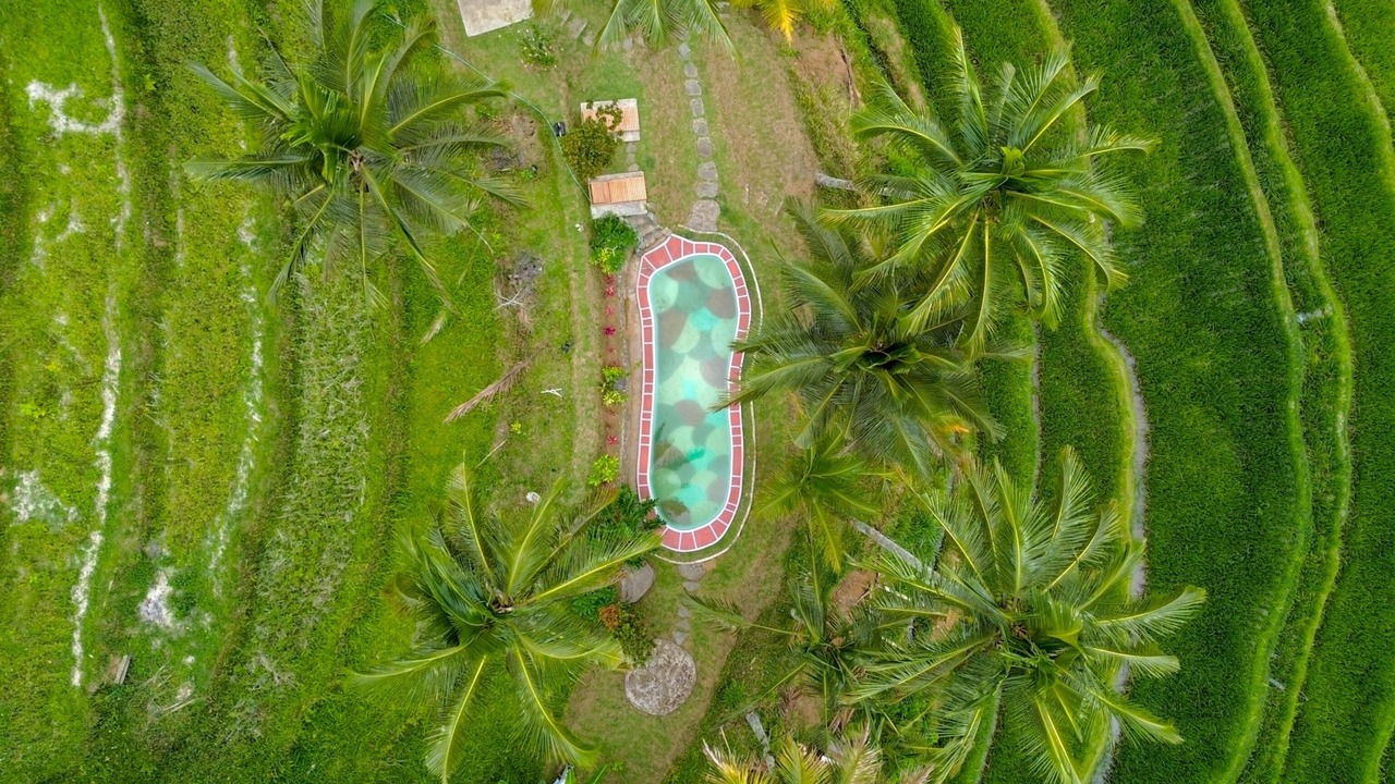 Photo of Outdoor in Wongaya Gede